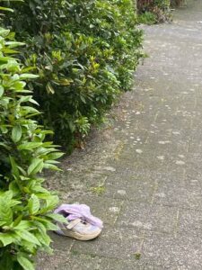 Kraaien Van Plezier, Handschoenen En Zelfs Schoenen Uit: Dit Is De Magie Van De Eerste Sneeuw~af98eb92